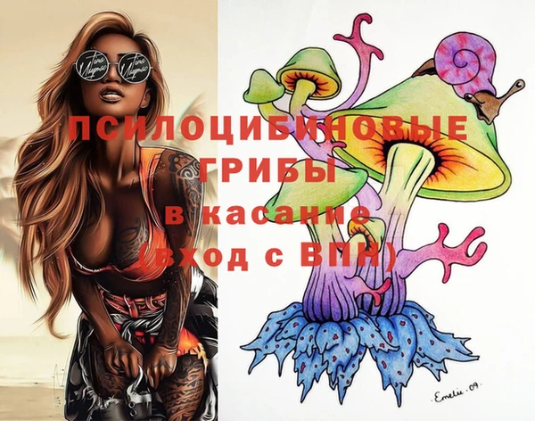 марки lsd Богданович