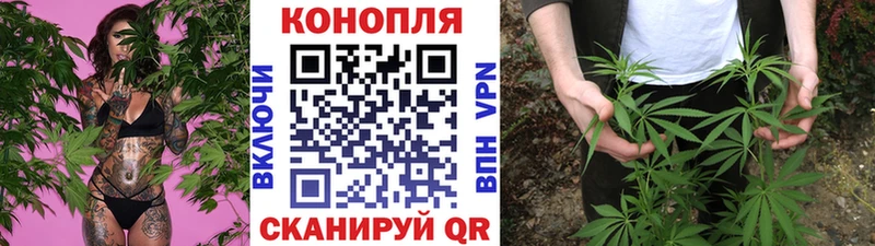 Бошки Шишки гибрид  Волжск 